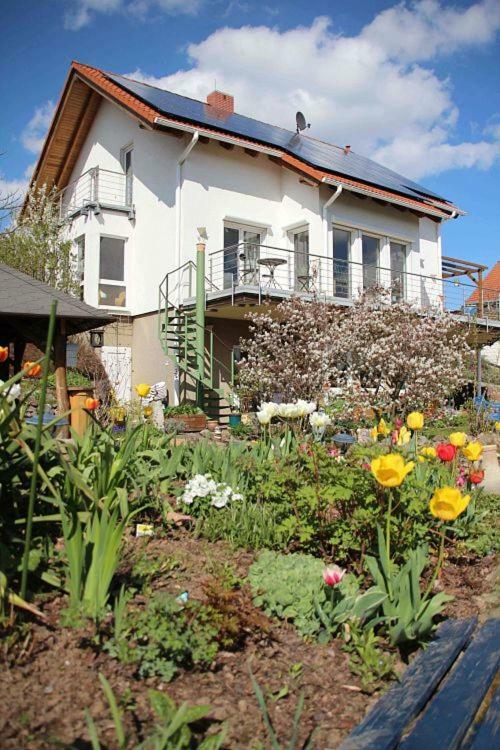 Ferienwohnung Dr. Vera Schmidt Kreischa Ngoại thất bức ảnh